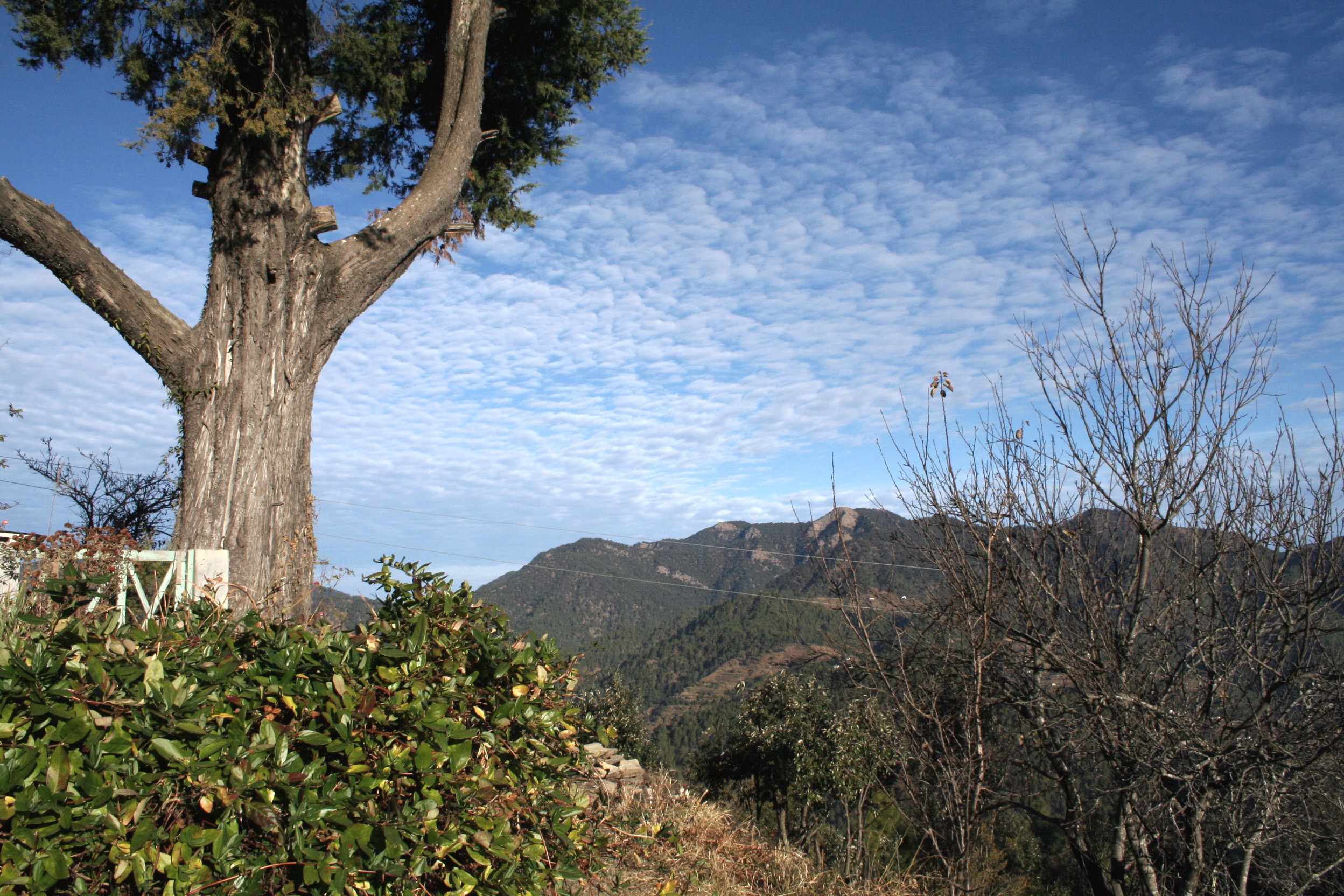 cloud patterns.jpg