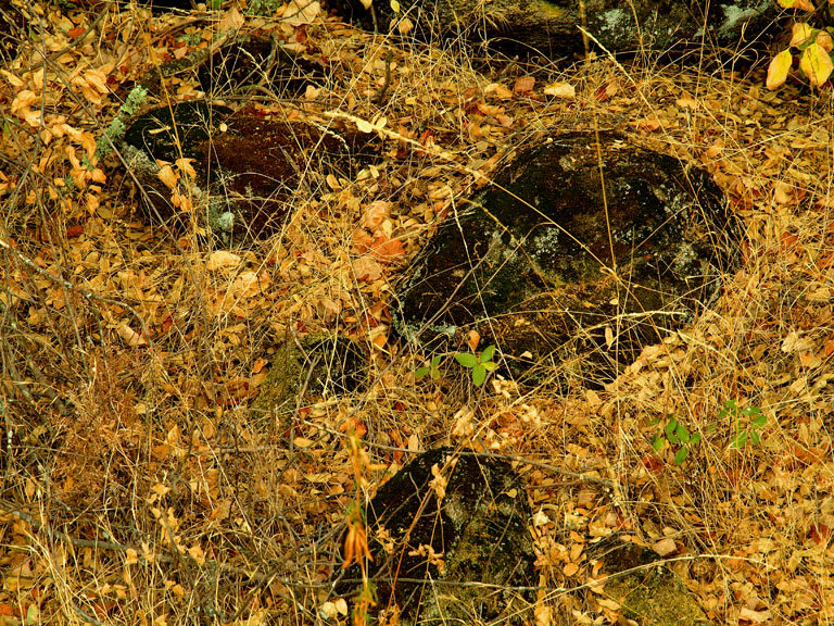 Boulders in the Grass.jpg
