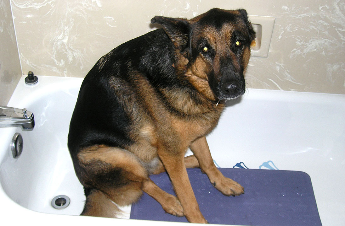 Max in the Tub.jpg