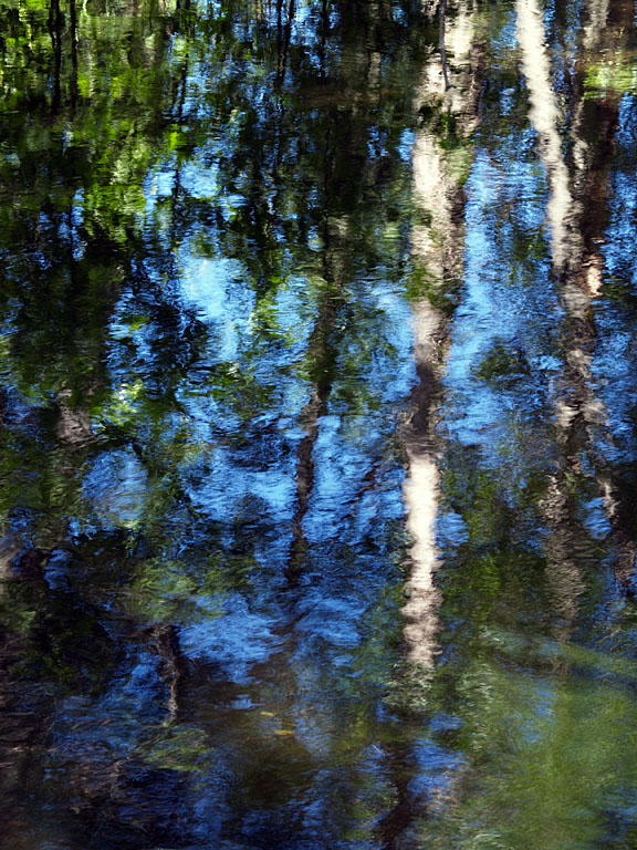 Bear River Reflections 1.jpg