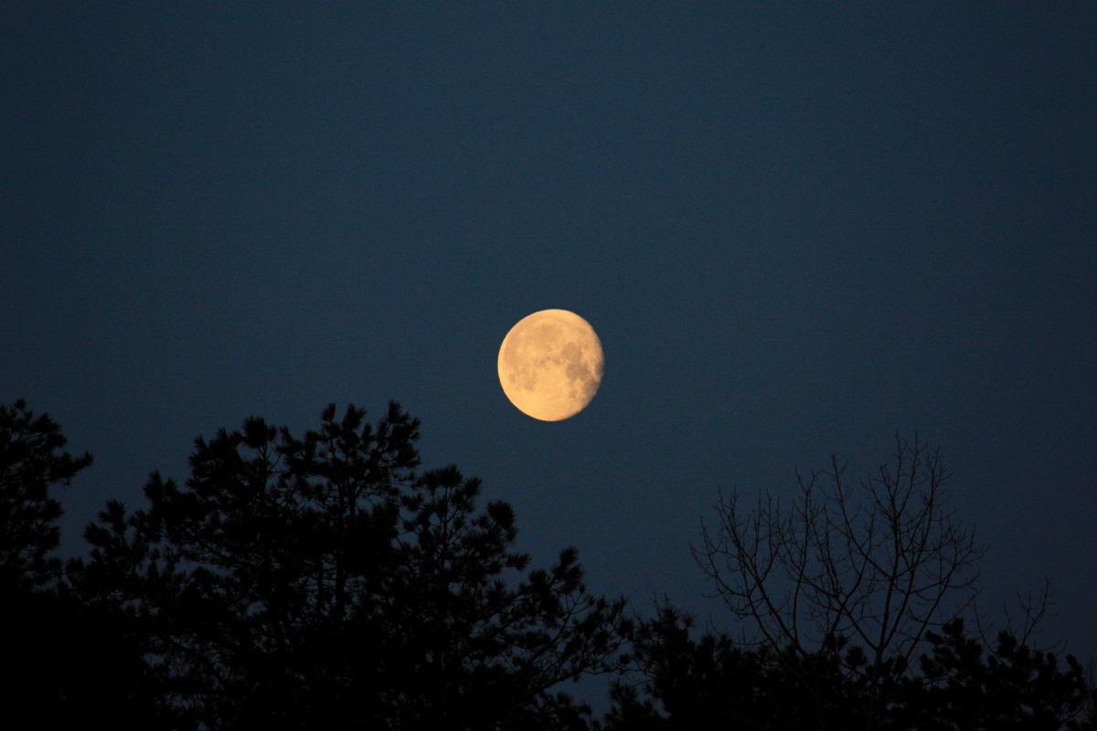 Full Moon Setting<BR>March 13, 2009