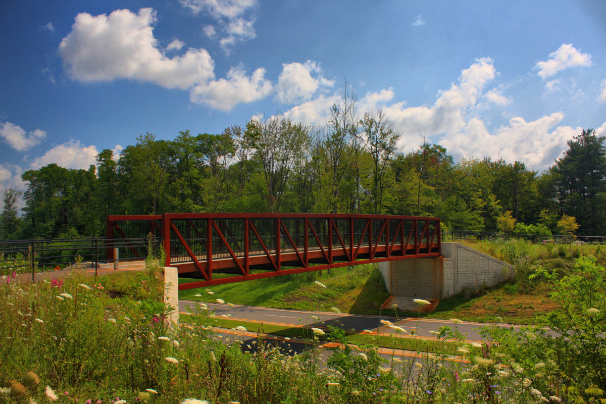 Bike Trail Bridge<BR>July 30, 2009