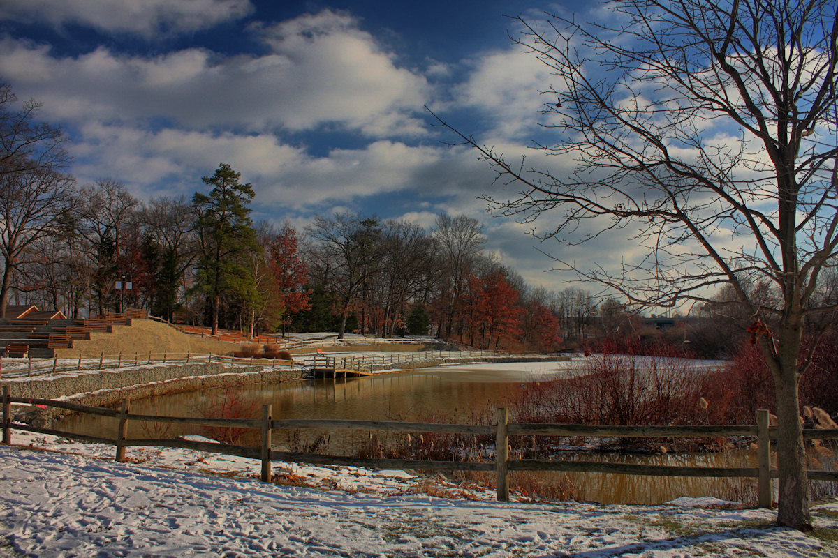 Park Landscape in HDR<BR>December 20, 2010