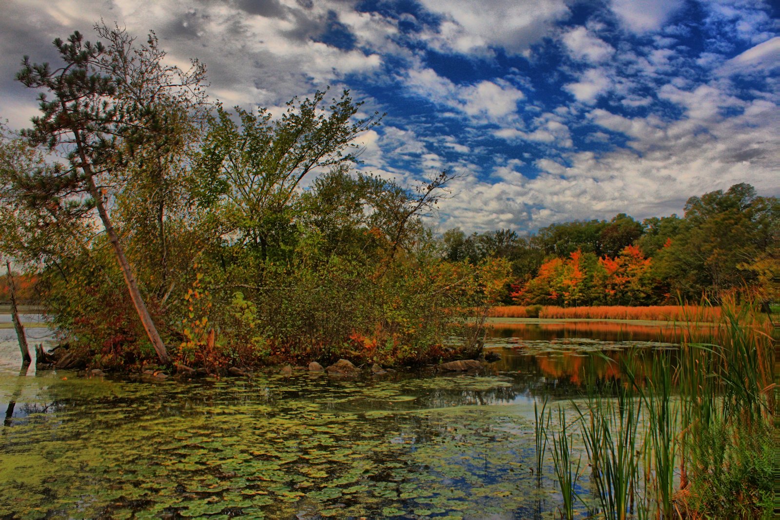 Autumn Colors in HDR<BR>October 5, 2011