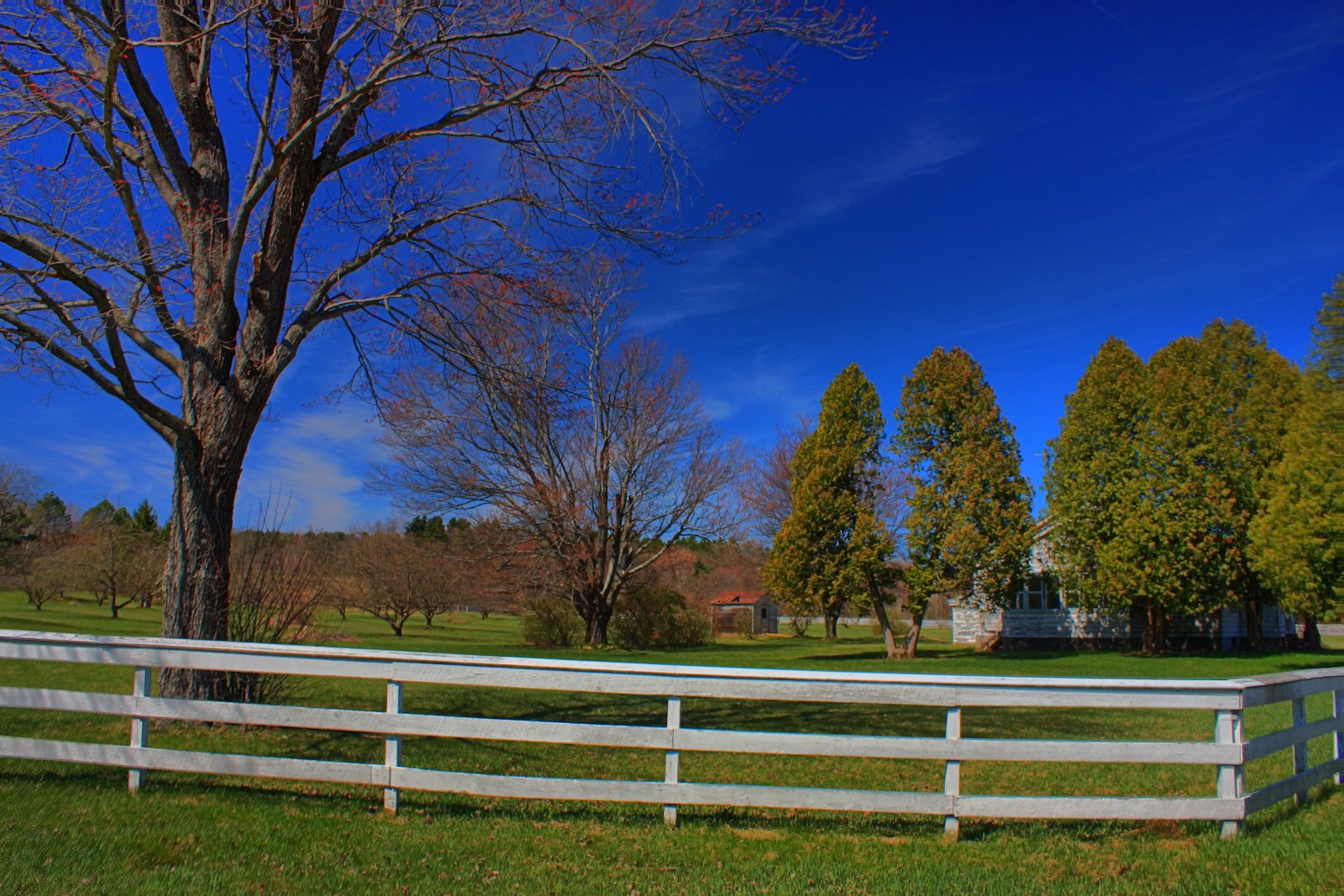 Park Landscape in HDR<BR>March 30, 2012