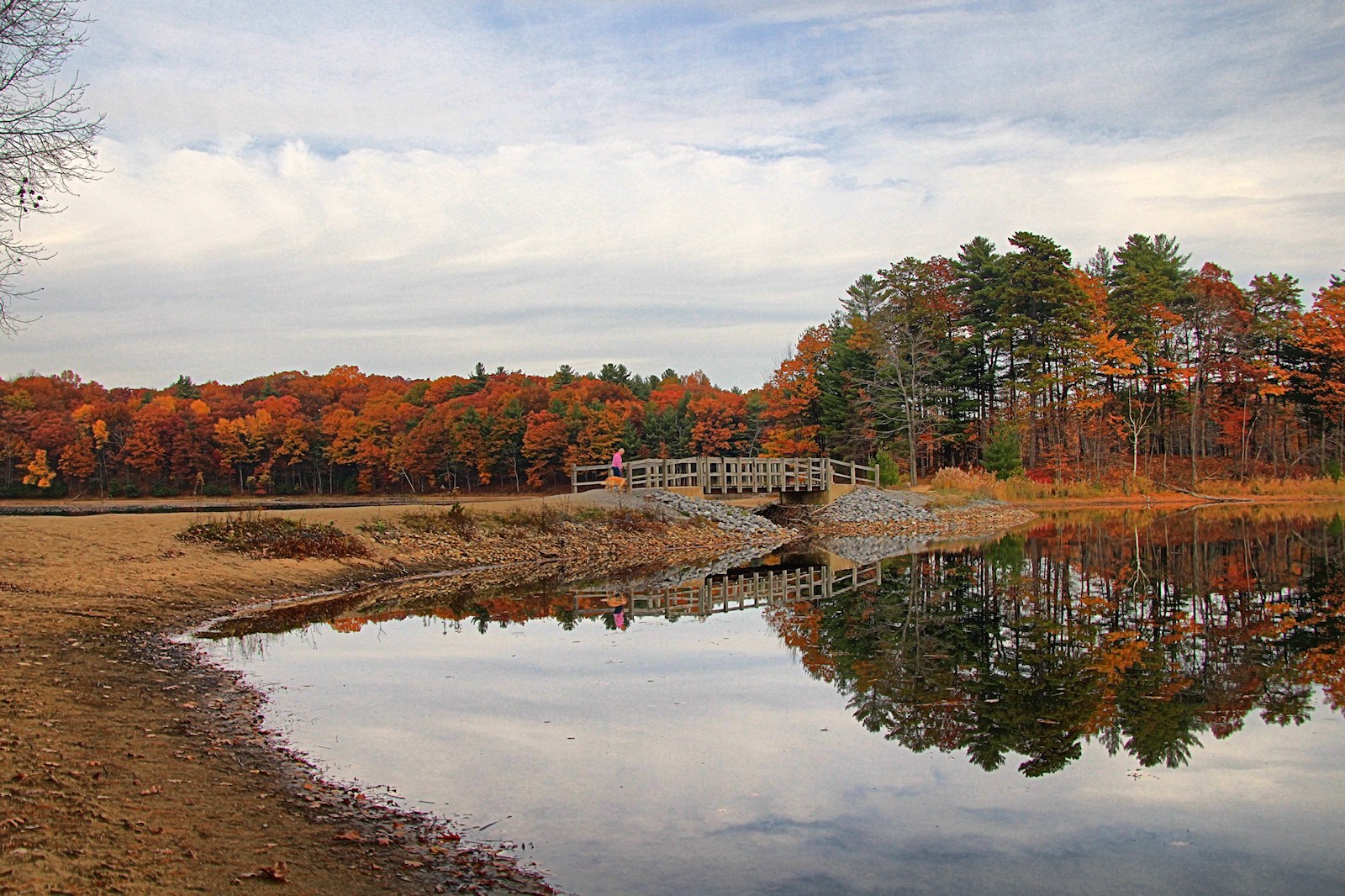 Park in HDR<BR>October 23, 2012