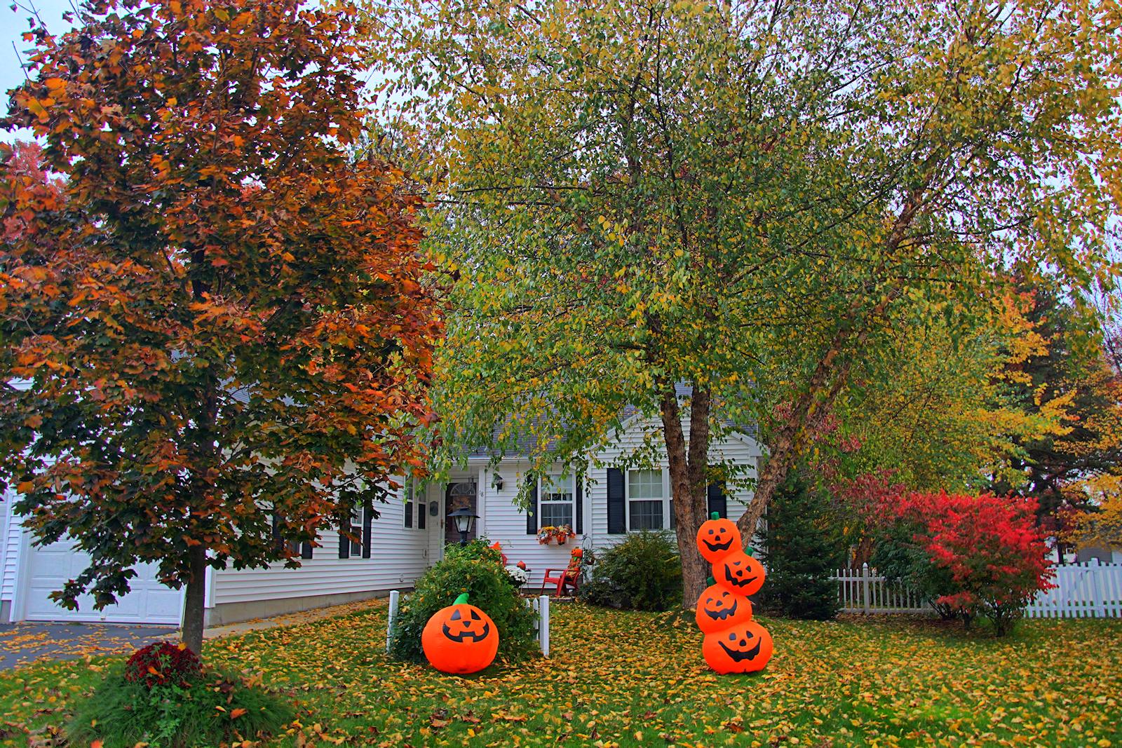 Halloween Decorations<BR>October 26, 2012