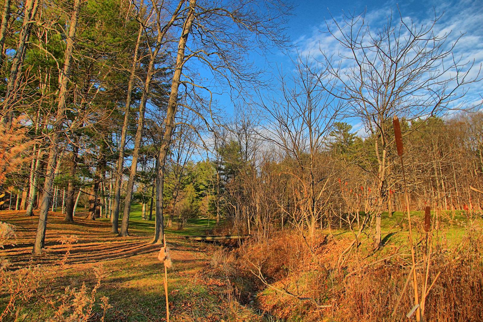 Tawasentha Park in HDR<BR>November 9, 2012