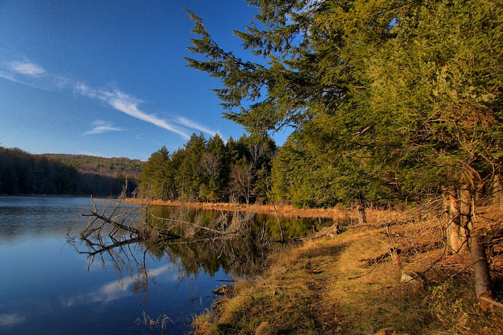 Lincoln Pond in HDR<BR>November 11, 2012