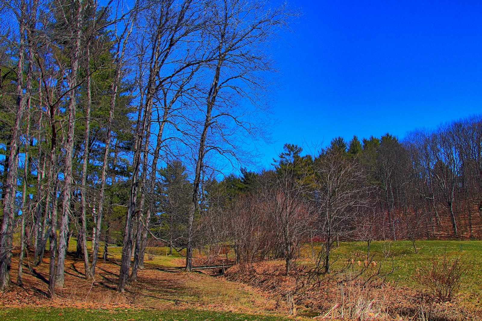 Tawasentha Park<BR>April 6, 2013