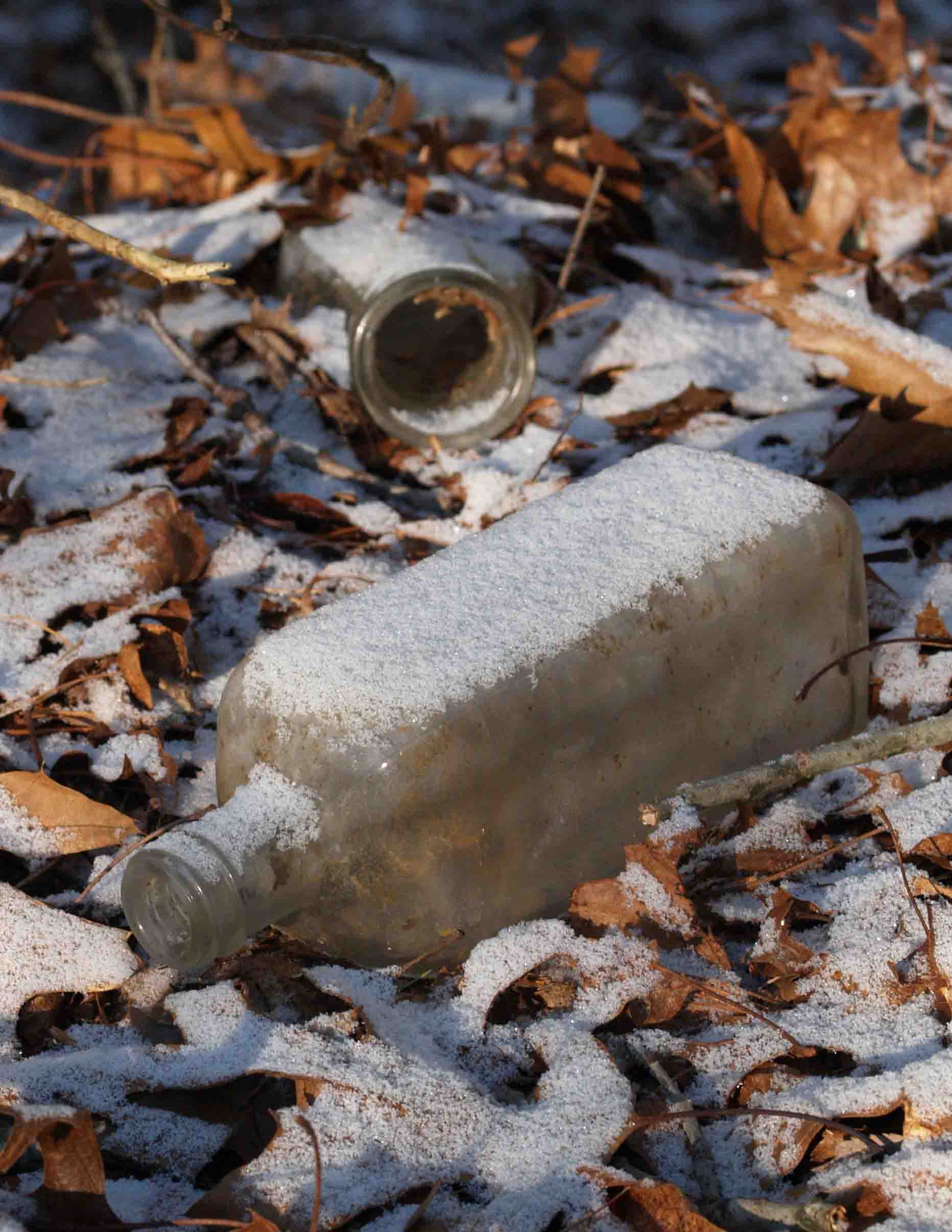 great diggings at the bottle dump