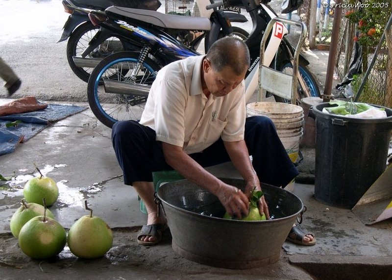 Washing Pomelos, Ipoh