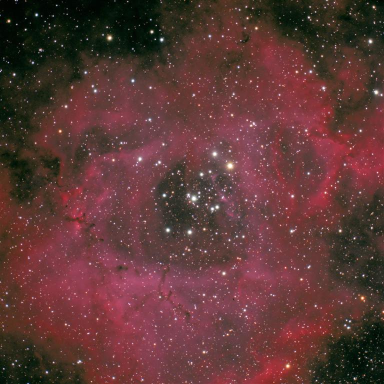 NGC 2244 or the Rosette Nebula