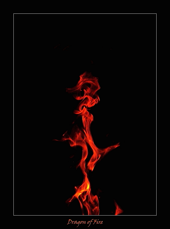 02.02.2009