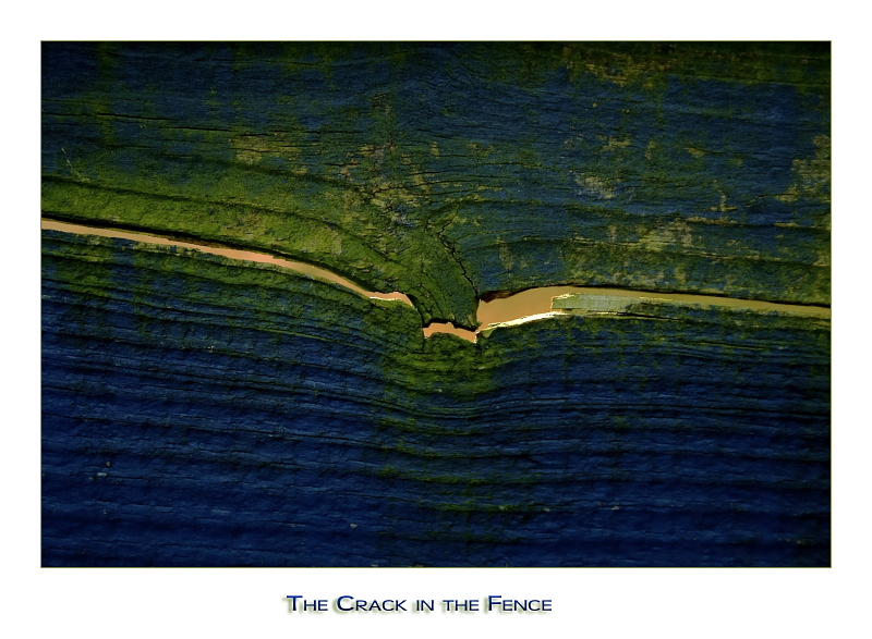 The crack in the fence