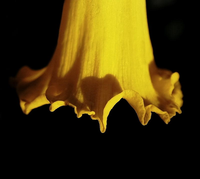 Yellow Flower Skirt