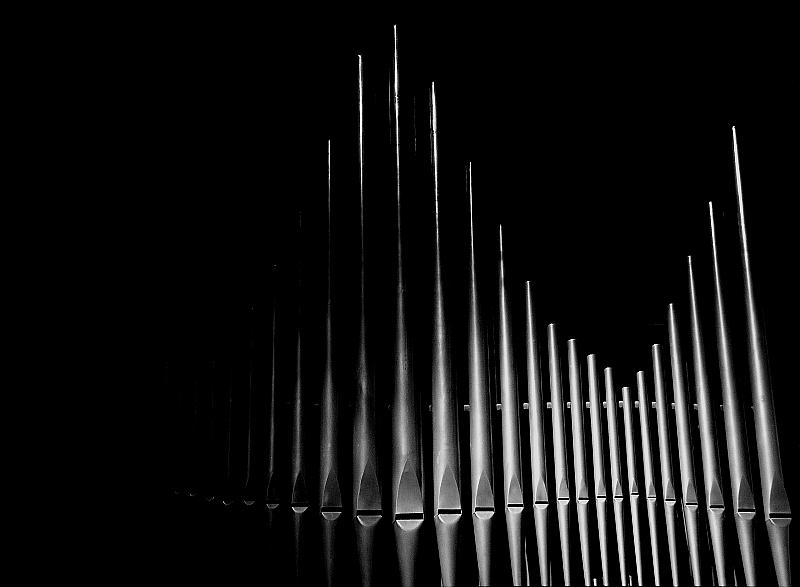 Pipe Organ