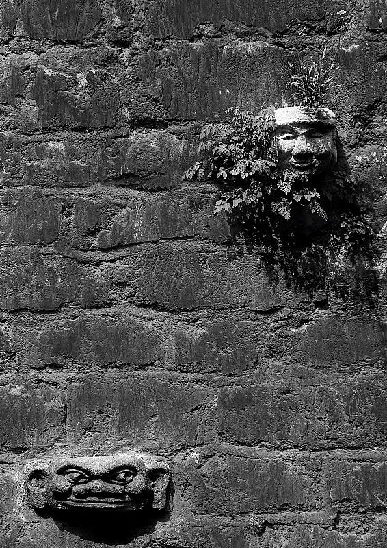 Stone Faces