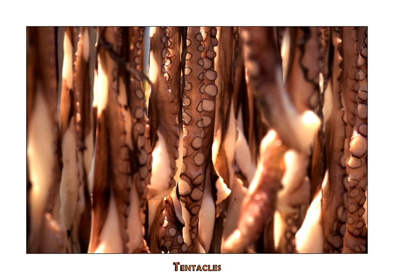 Tentacles