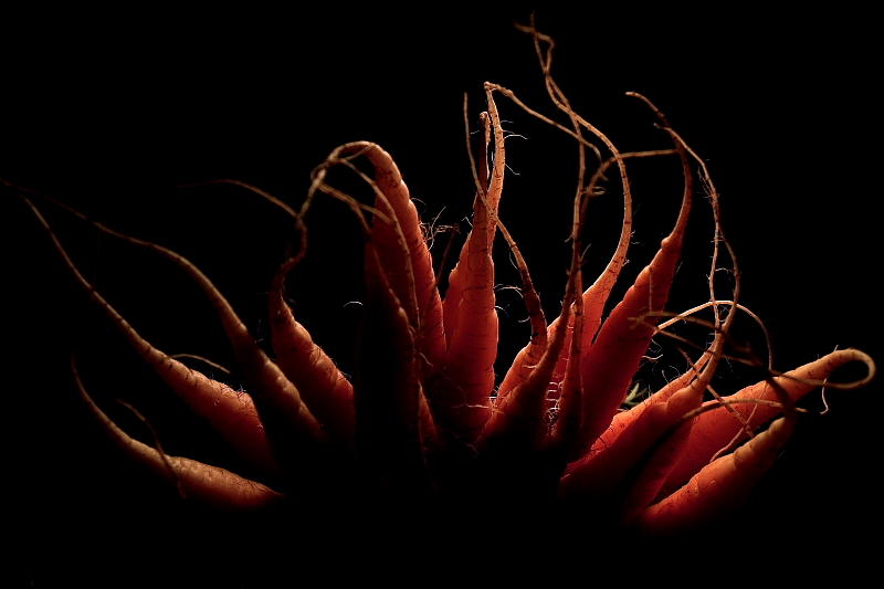 Carrots