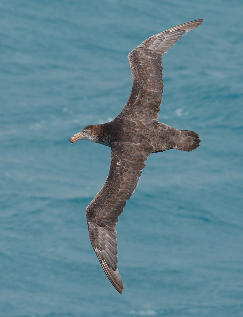1D3_0680_DxO_raw.jpg