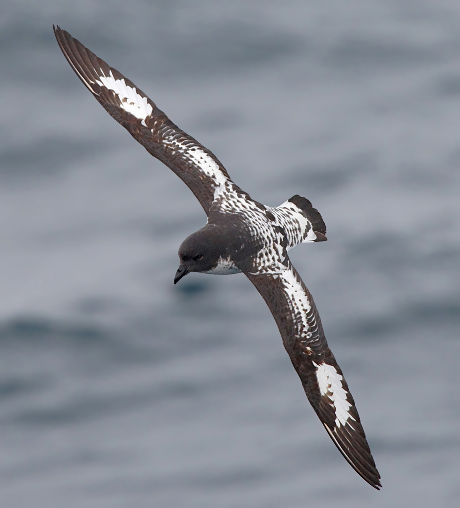1D3_4891_DxO_raw.jpg