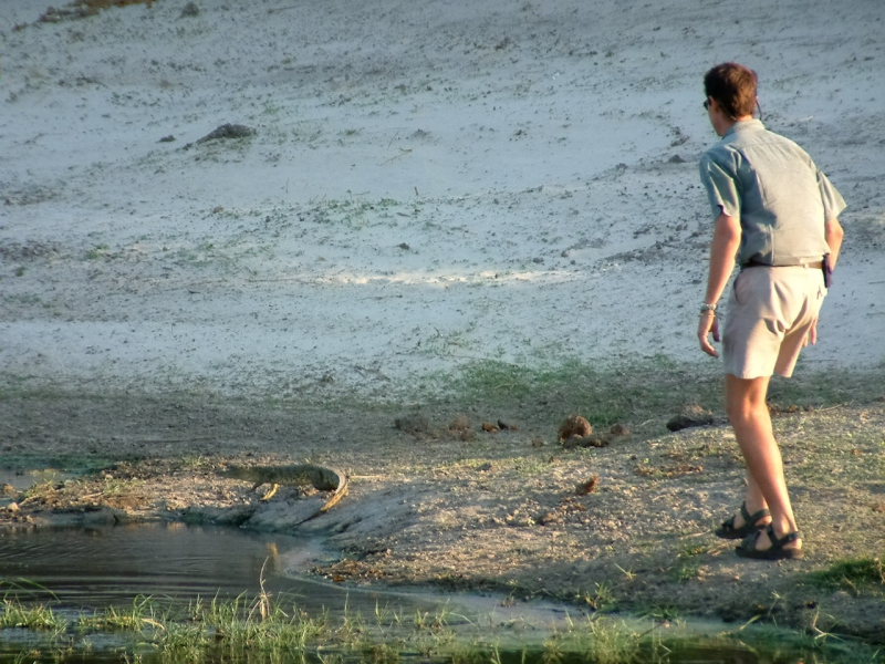 Our guide Dave attempting (unsuccessully) to catch a young crocodile