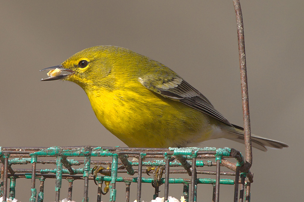 IMG_1818_DxO_RAW.jpg