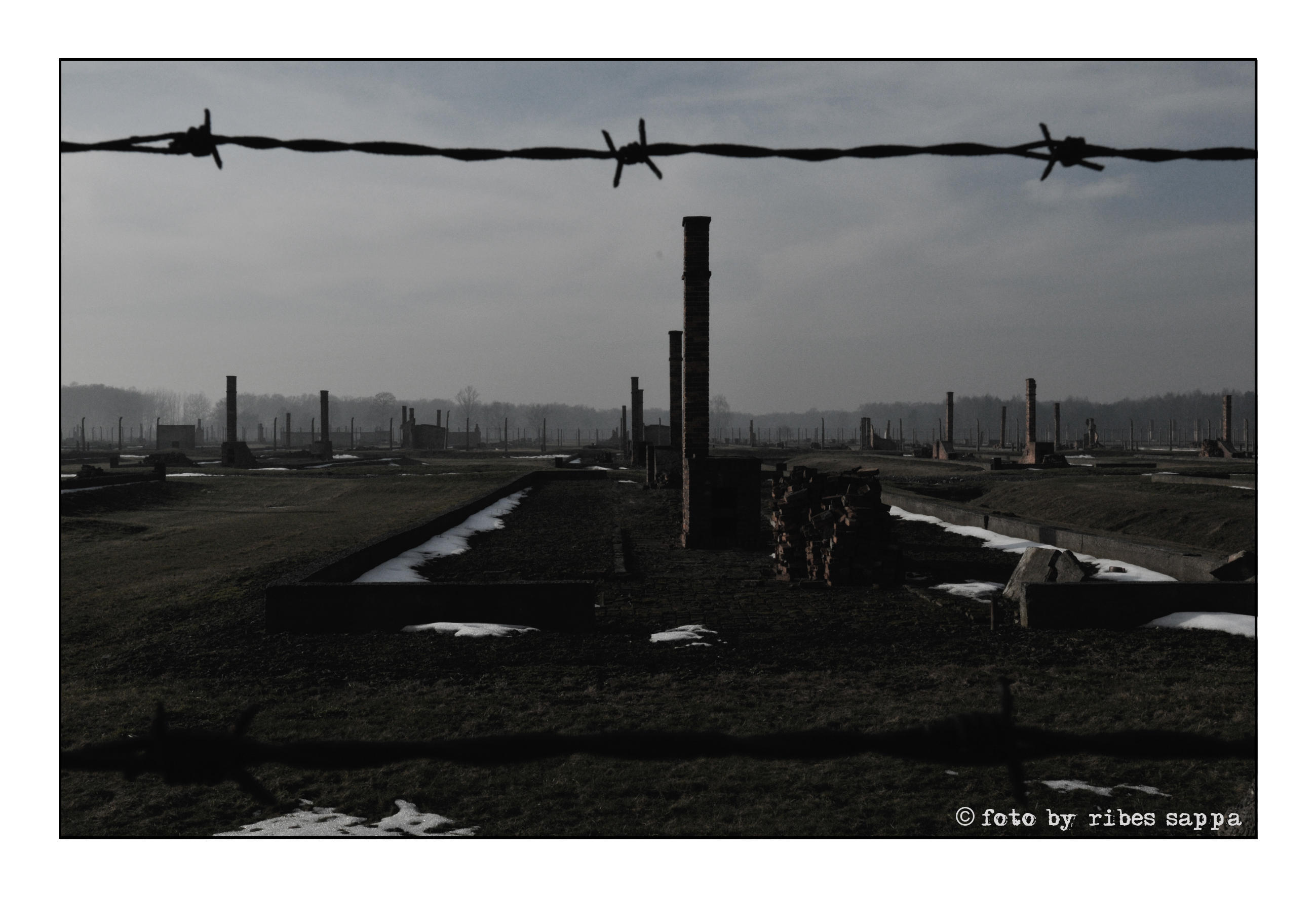 ricordare Auschwitz - Birkenau 27