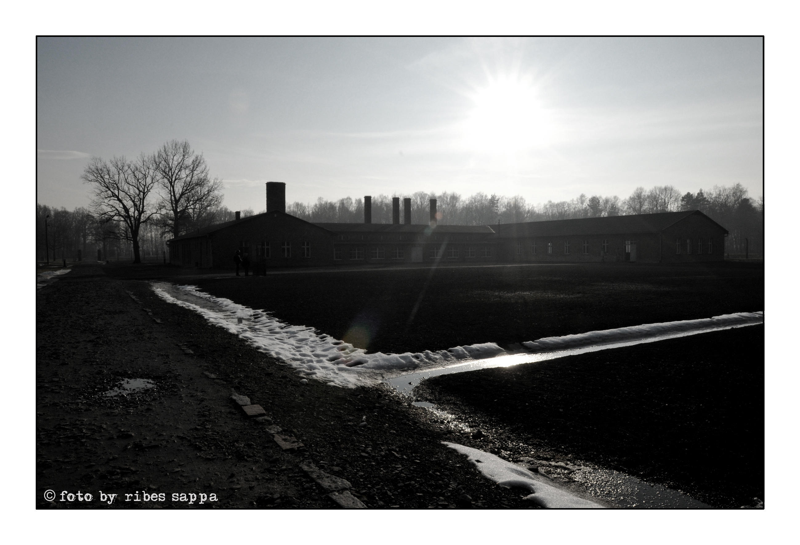 ricordare Auschwitz - Birkenau 32