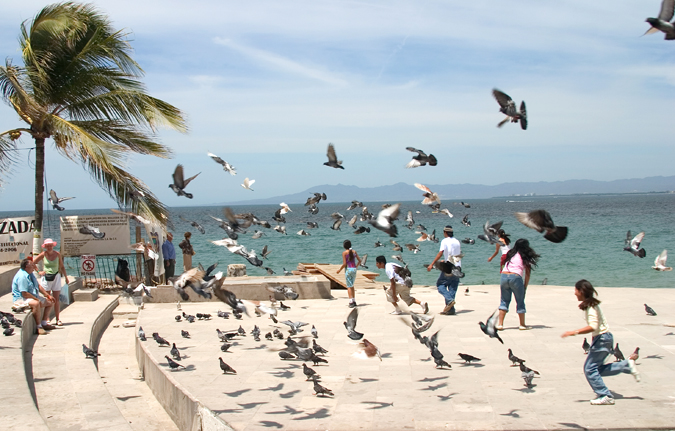 Puerto Vallarta