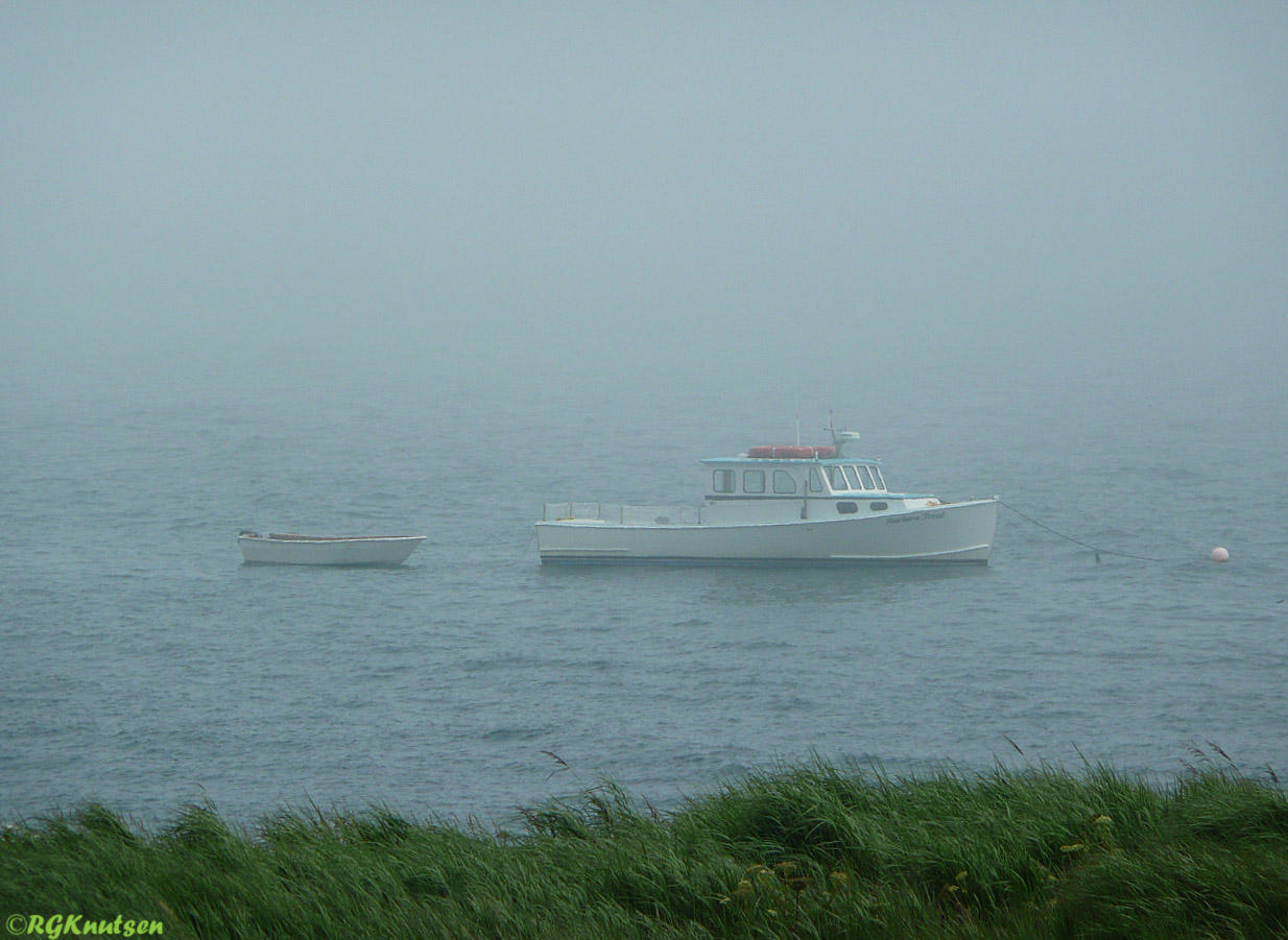 Our means of transport to/from Machias Seal island