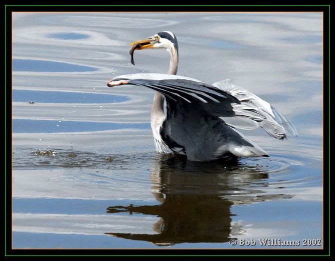 PC-DSC_4287.JPG