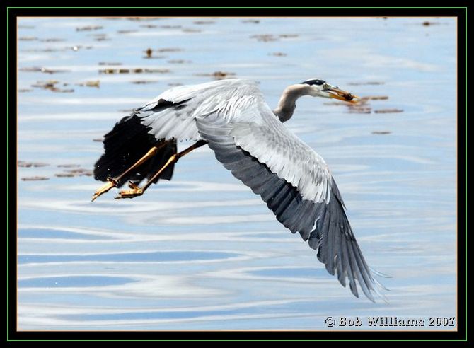 PC-DSC_4289.JPG