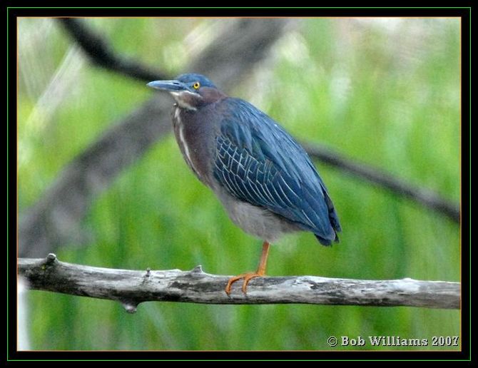 PC-DSC_4332.JPG