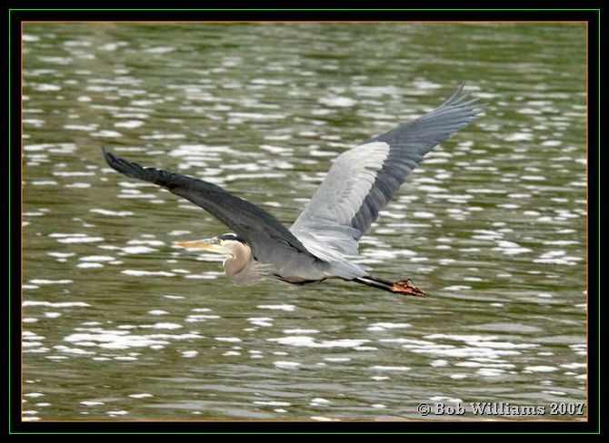 PC-DSC_4352.JPG