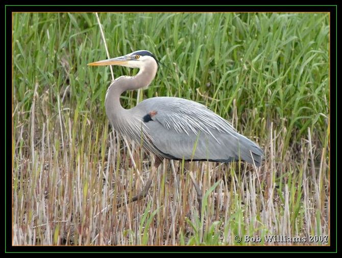 PC-DSC_4368.JPG