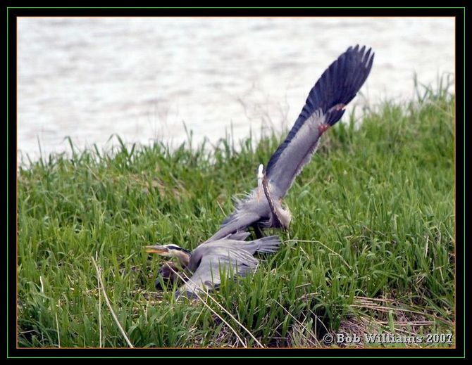 PC-DSC_4375.JPG