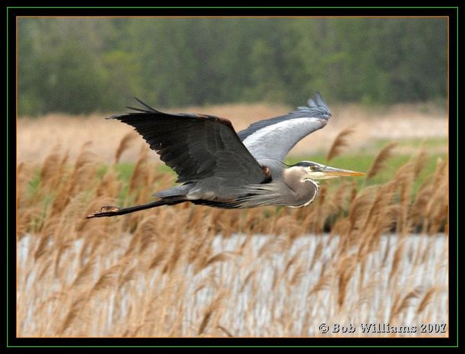 PC-DSC_4413.JPG