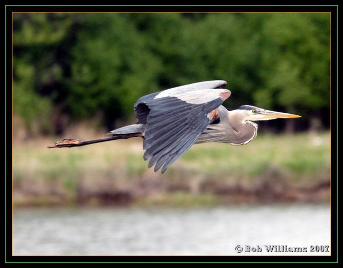PC-DSC_4414.JPG