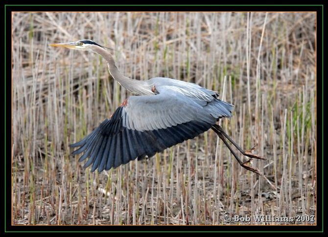 PC-DSC_4426.JPG