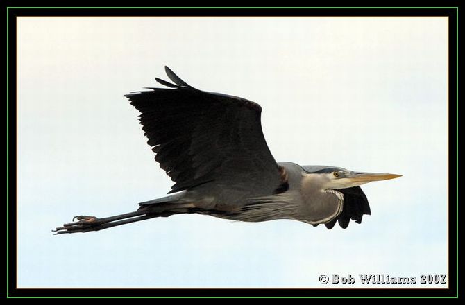 PC-DSC_4448.JPG