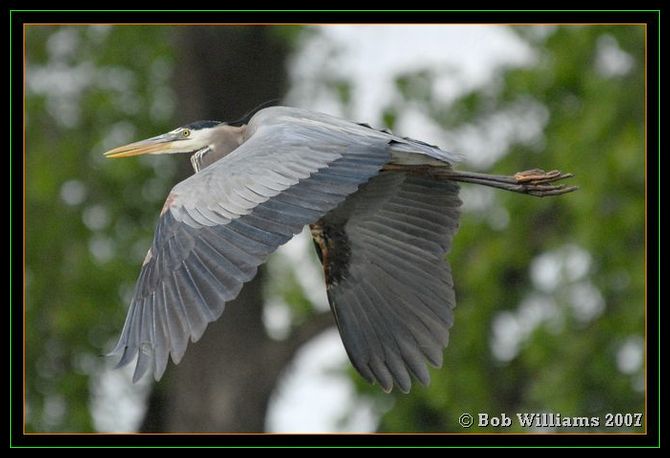 PC-DSC_4445.JPG