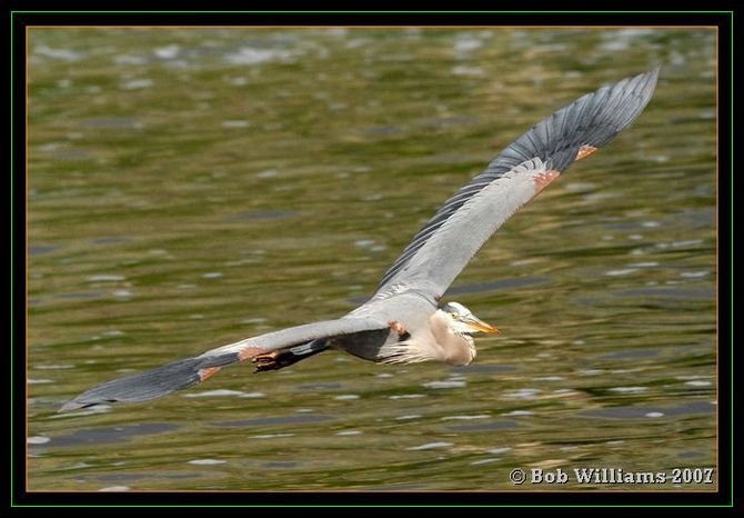 PC-DSC_4473.JPG