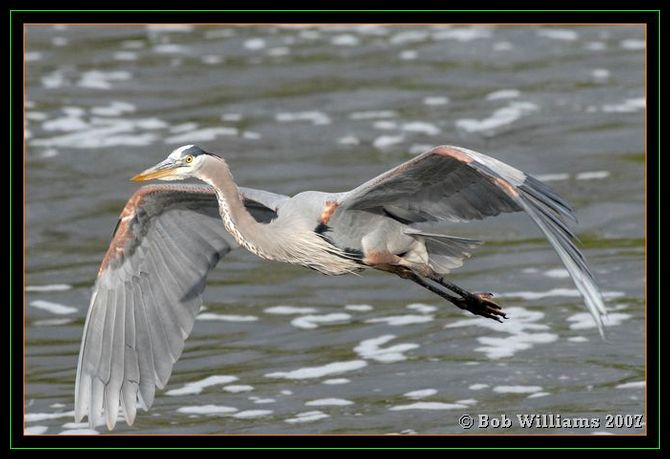 PC-DSC_4482.JPG