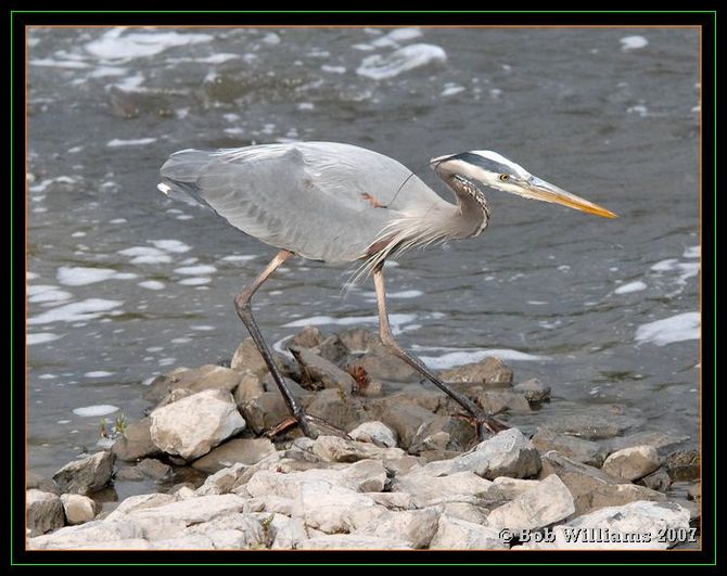 PC-DSC_4486.JPG