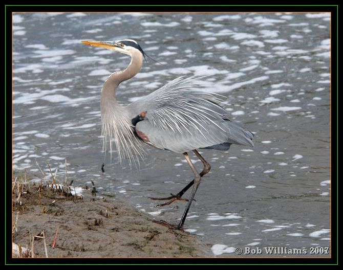 PC-DSC_4494.JPG