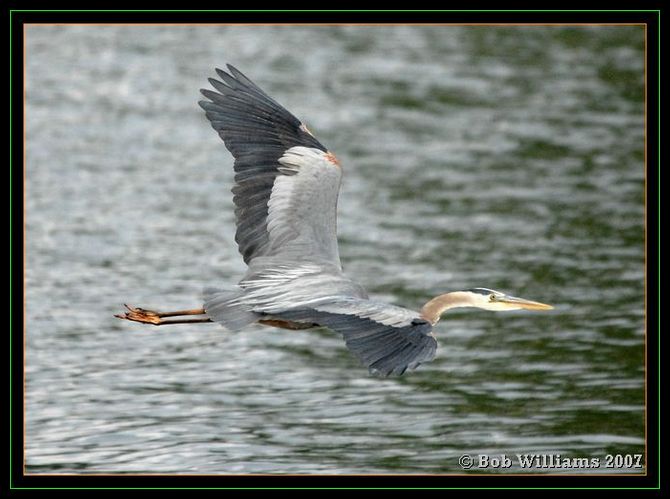 PC-DSC_4509.JPG