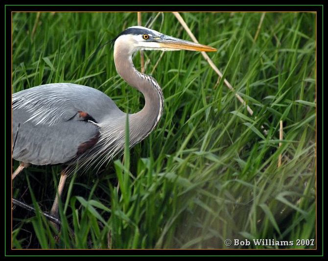 PC-DSC_4511.JPG