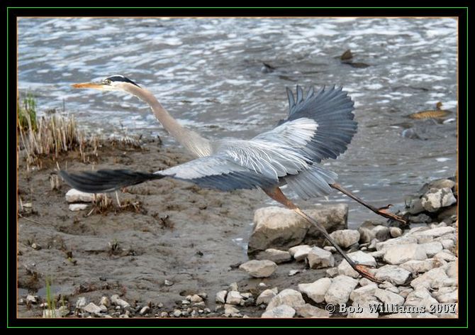 PC-DSC_4514.JPG